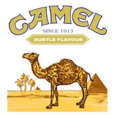 Camel Logo