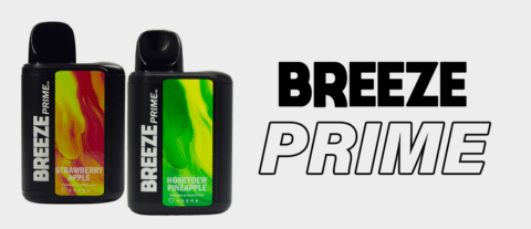 Largest Selection of Mr. Vapor Disposables and Top Brands - Wild Bills ...